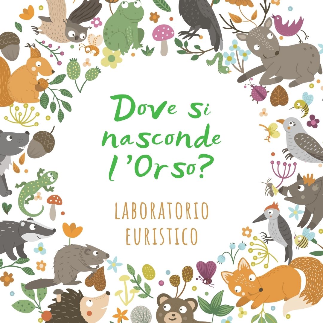 orso-ilmondodeisogni
